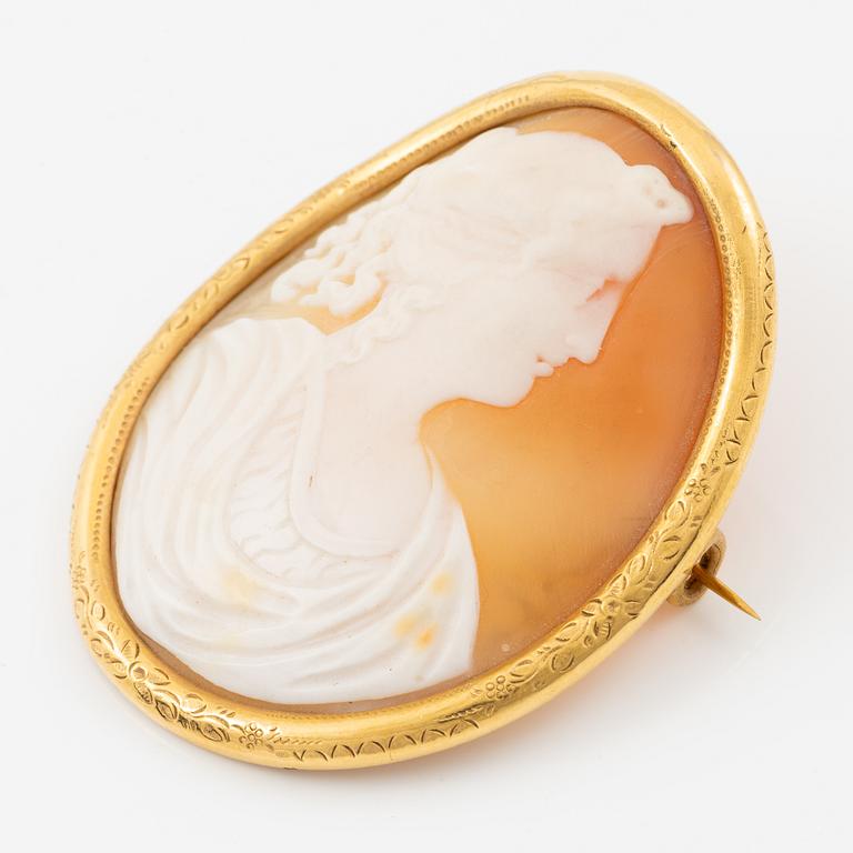 Brosch 14K guld med en snäckskalscamé.