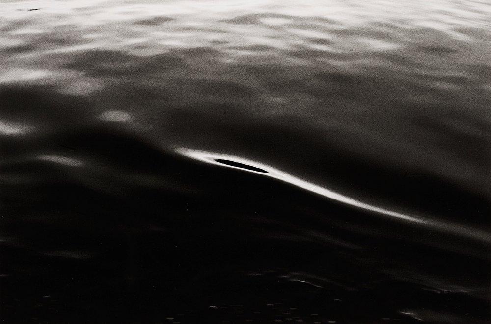 Tom Sandberg, Untitled, 1979.