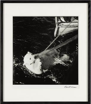 Lennart Nilsson,  "Isbjörnsjakt vid Hvitøya (Vitön), Svalbard, Norge 1947".