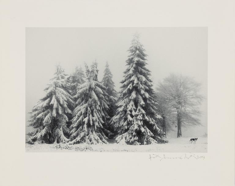 Pentti Sammallahti, "Petrohan, Bulgaria, 2003".