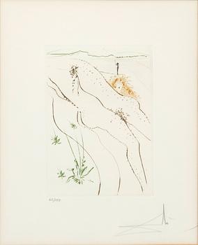 Salvador Dalí, "Le Tonneau" from "Le Décameron".