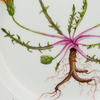 A set of 4+1 porcelaine "Flora Danica" dinner plates model #3553 and #3549 Royal Copenhagen.