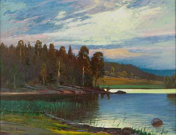 Wille Salonen, Landscape.