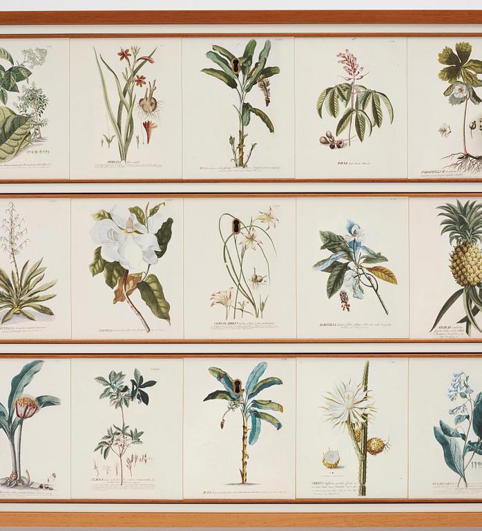 Josef Frank, Florabyrå Linné", jubileumsutgåva, Firma Svenskt Tenn 2007, modell 1050, ed. 43/50.