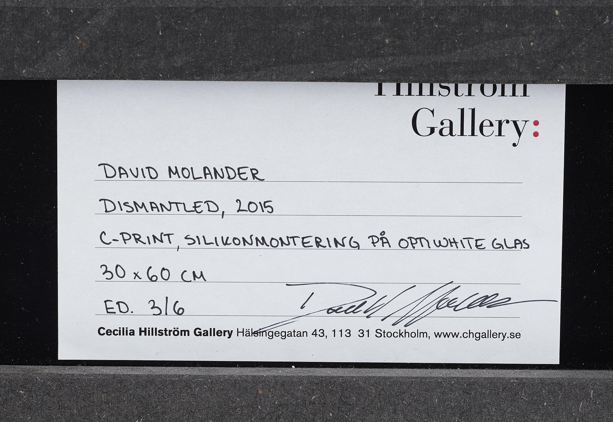 DAVID MOLANDER, C-print, signerad och numrerad 3/6.