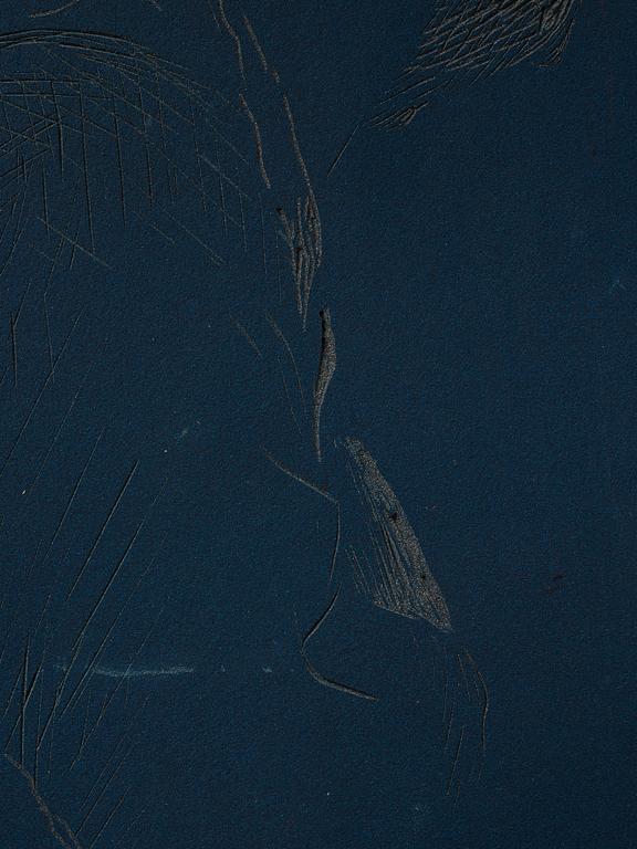 Idun Baltzersen, "Looking Down".