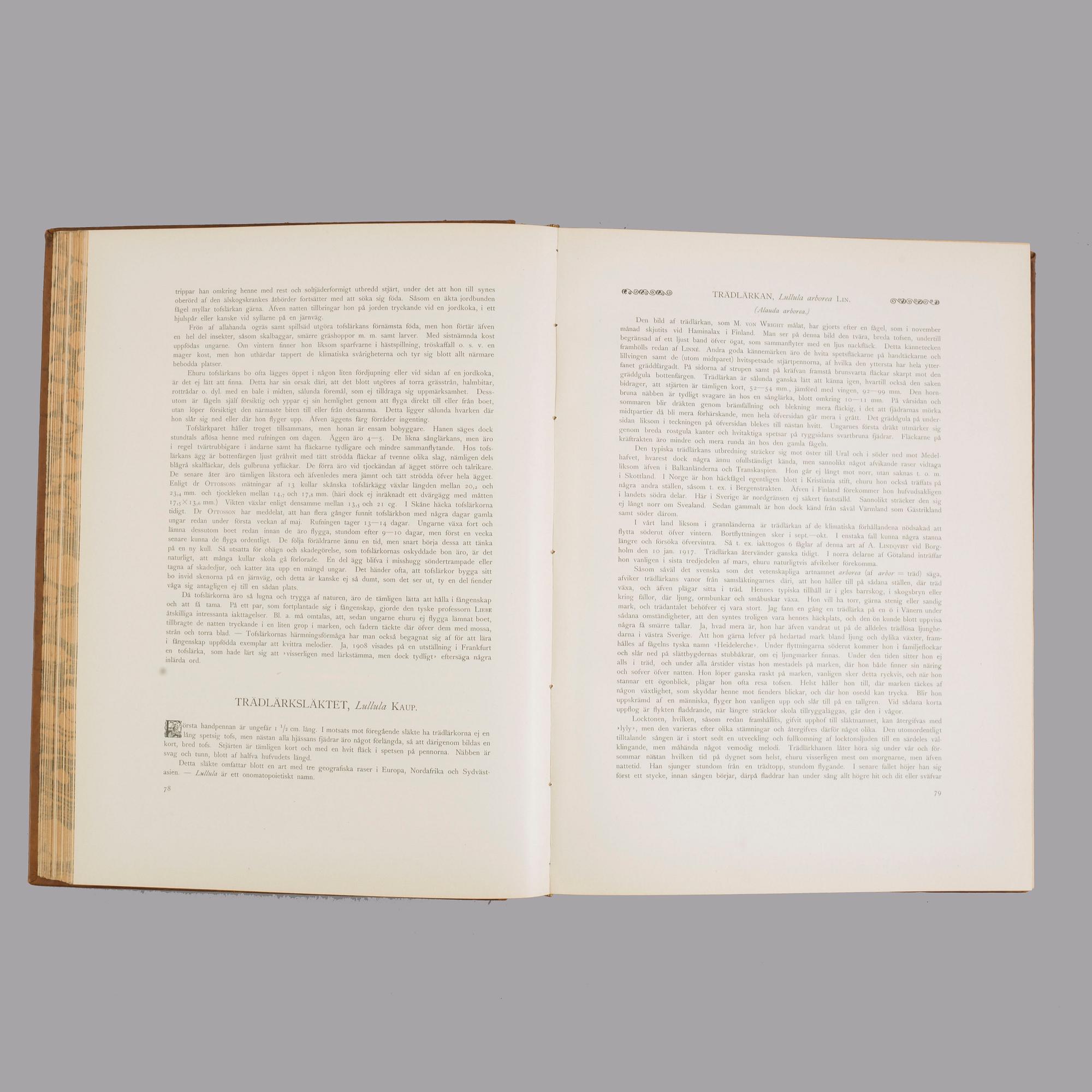 Three book "Svenska fåglar (Swedish birds)" with images by M, W & F VON WRIGHT, printed by Börtzells AB, 1924-1929.