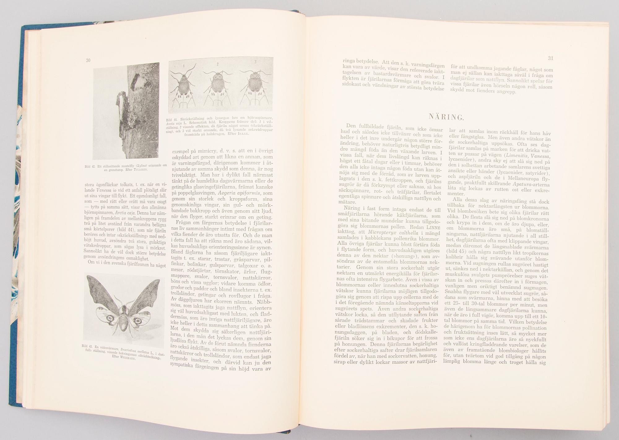Four books about butterflies in Sweden, Finland and former Soviet Union. 1900-2003.