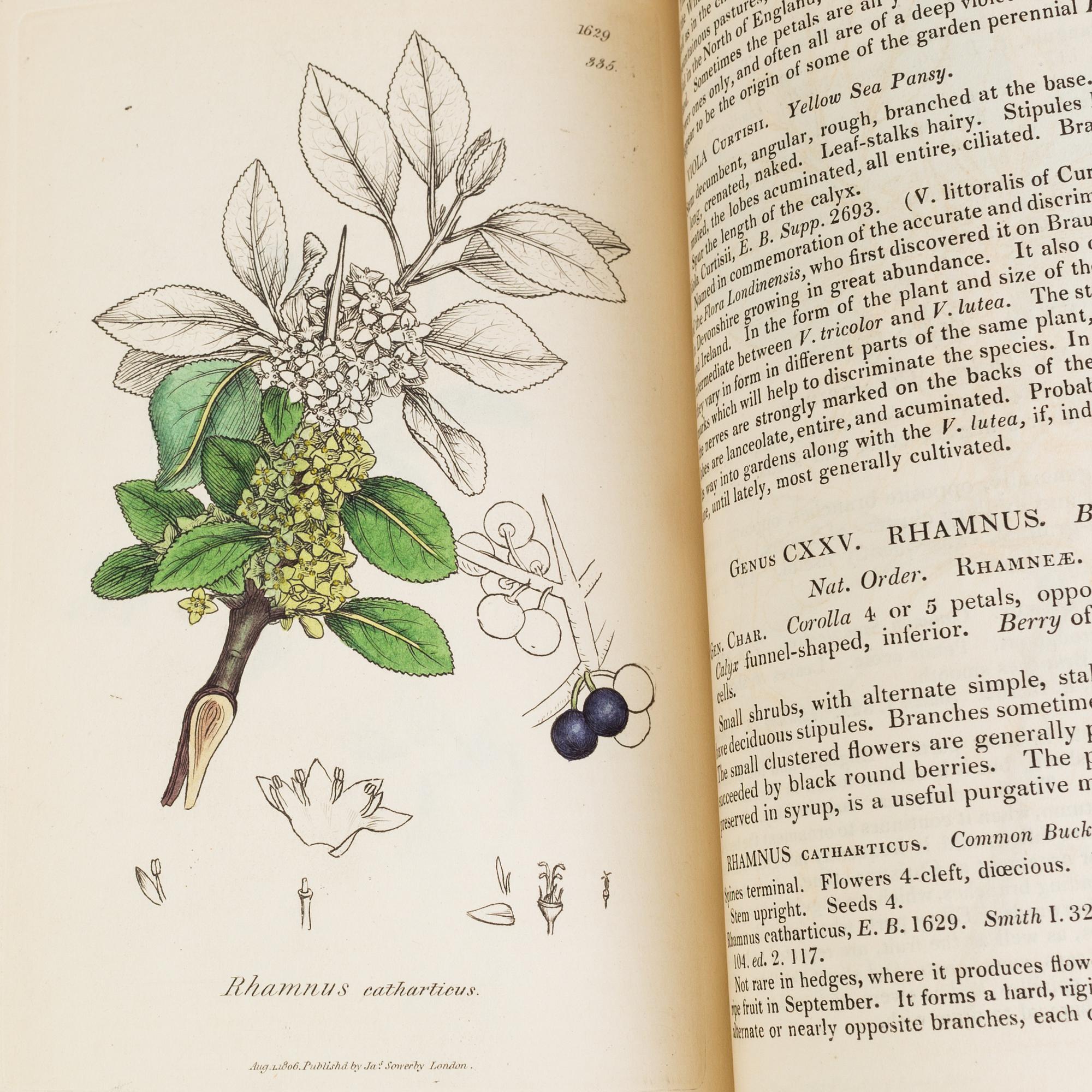 BOOKS, 12 volumes, 'English Botany' by Sir James Edward Smith, James Sowerby, London, 1832-46.