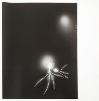 HIROSHI SUGIMOTO, offsetlitografi, "Lightning Fields 057" 2007-08, limiterad upplaga om 200.