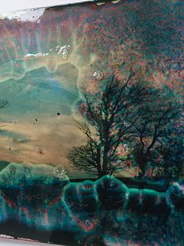 Wolfgang Ganter, "Untitled (Two Trees)".