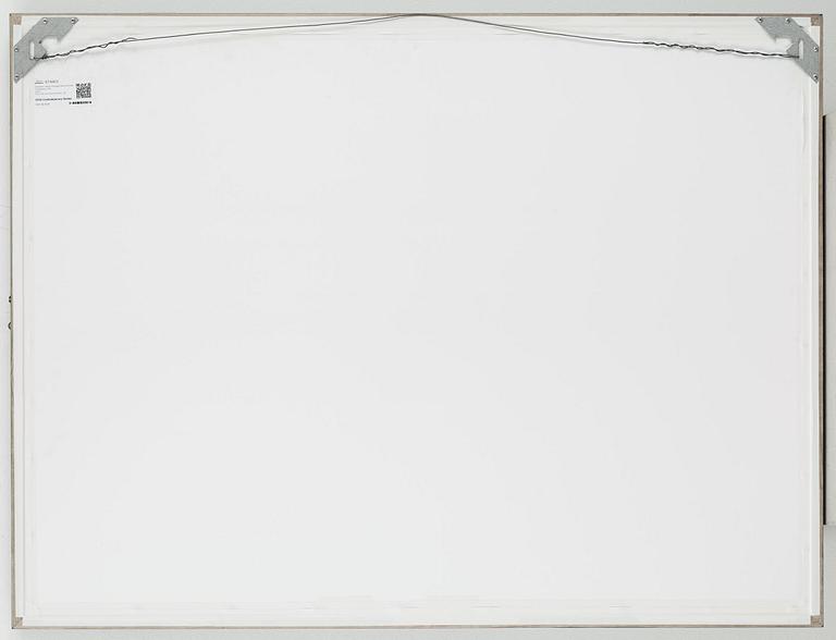 HÅKAN LUDWIGSON, photography signed Håkan Ludwigsson and dated Somalisa 2011 and numbered 9/12.