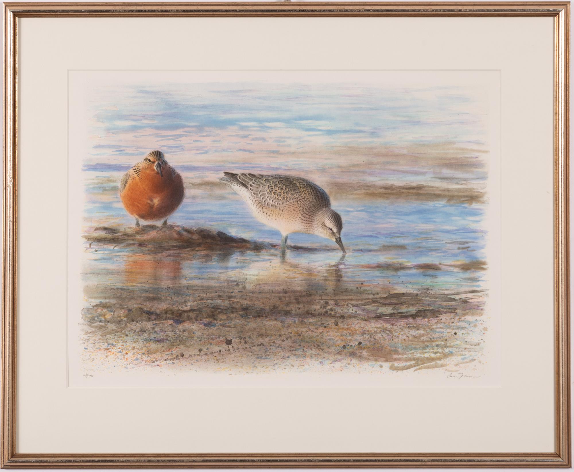 Lars Jonsson, Calidris.