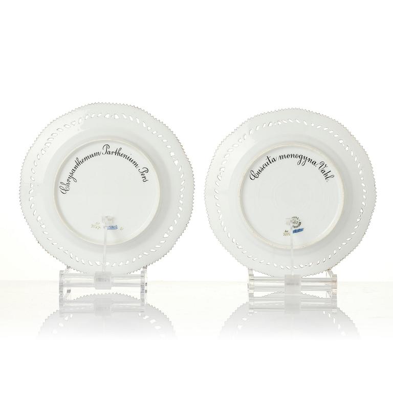 A set of 12 Royal Copenhagen 'Flora Danica' lunch plates, Denmark, 1889-1922.