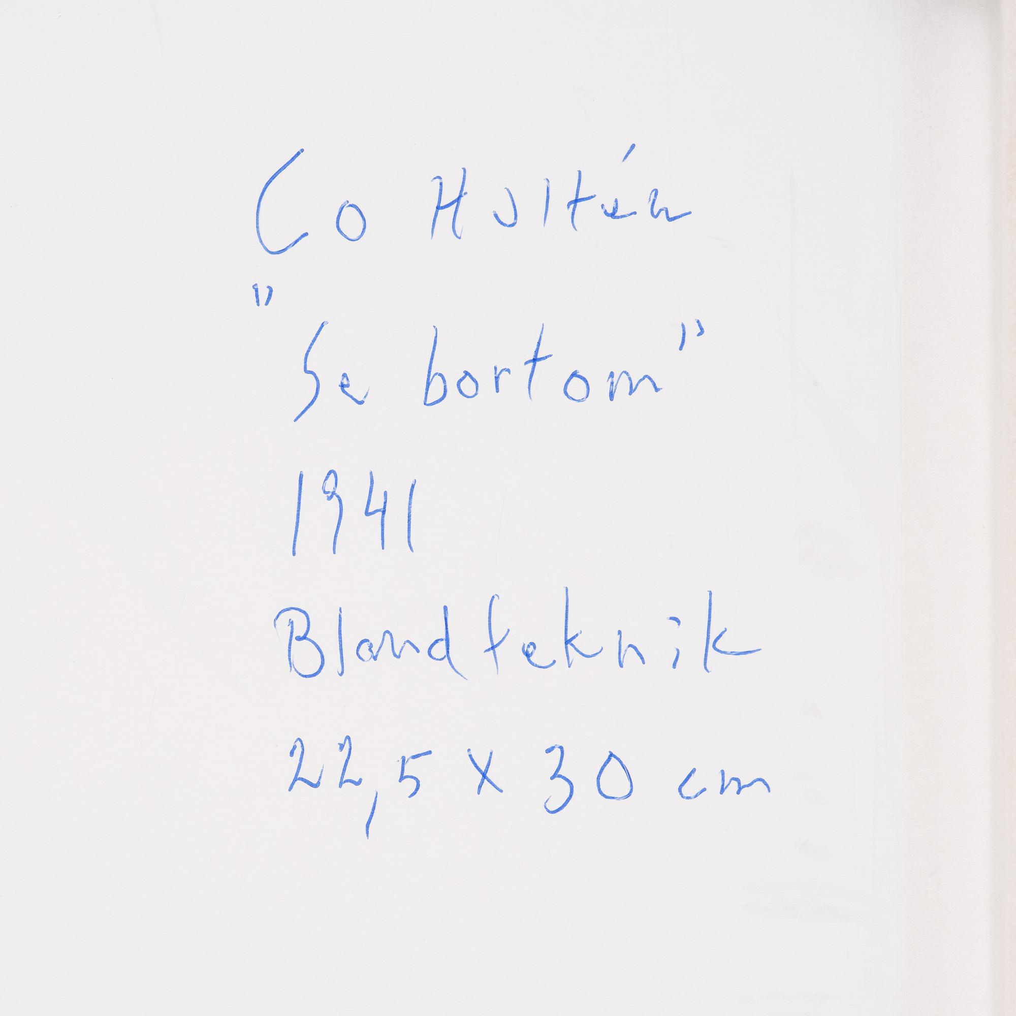 CO Hultén, "Se bortom".