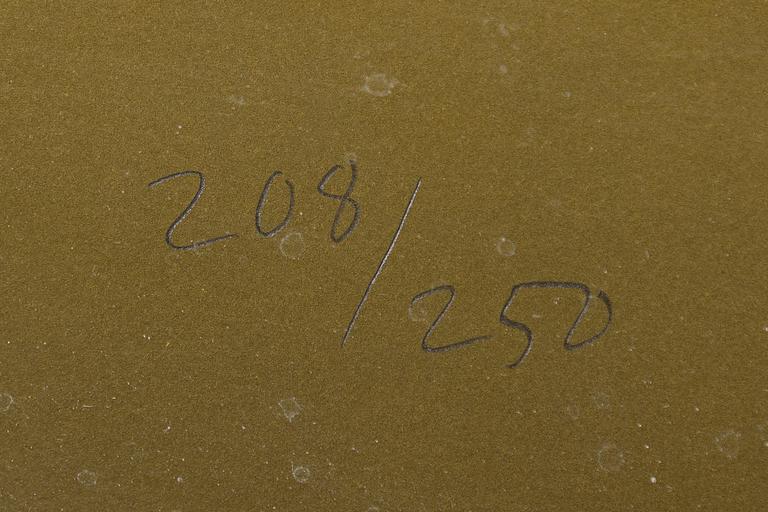 Yrjö Edelmann, Wrapped Absolut Citron,