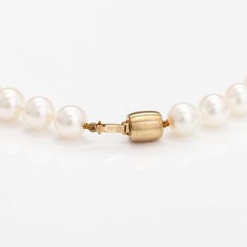 A pearl collier with ajoya pearls and a 14K gold clasp. Torbjörn Tillander, Helsinki 2015.