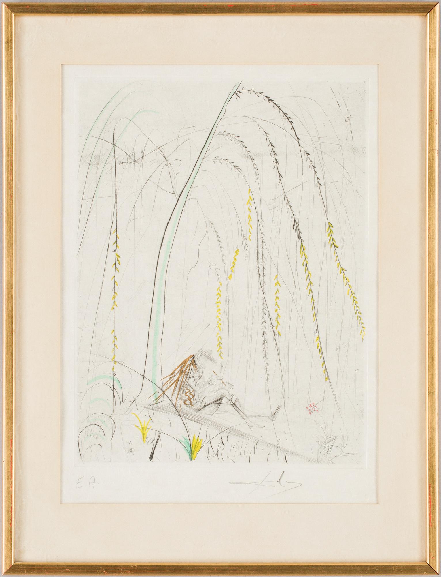 SALVADOR DALÍ, etsning, kolorerad, sign. EA.