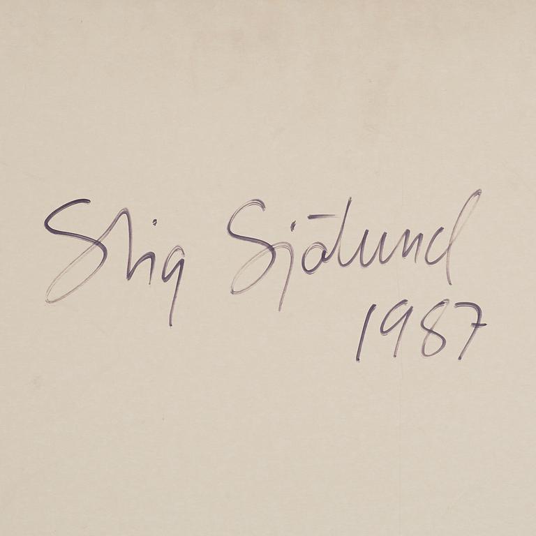 Stig Sjölund, diptych, photography and mixed media on canvas, signed and dated 1987 on verso.