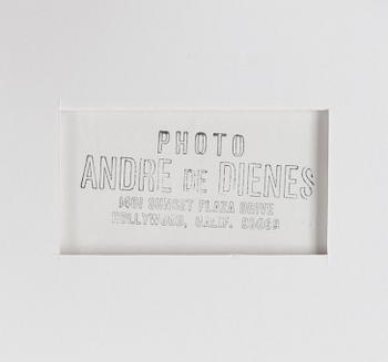 ANDRÉ DE DIENES, gelatinsilverfotografi, stämpelmärkt.