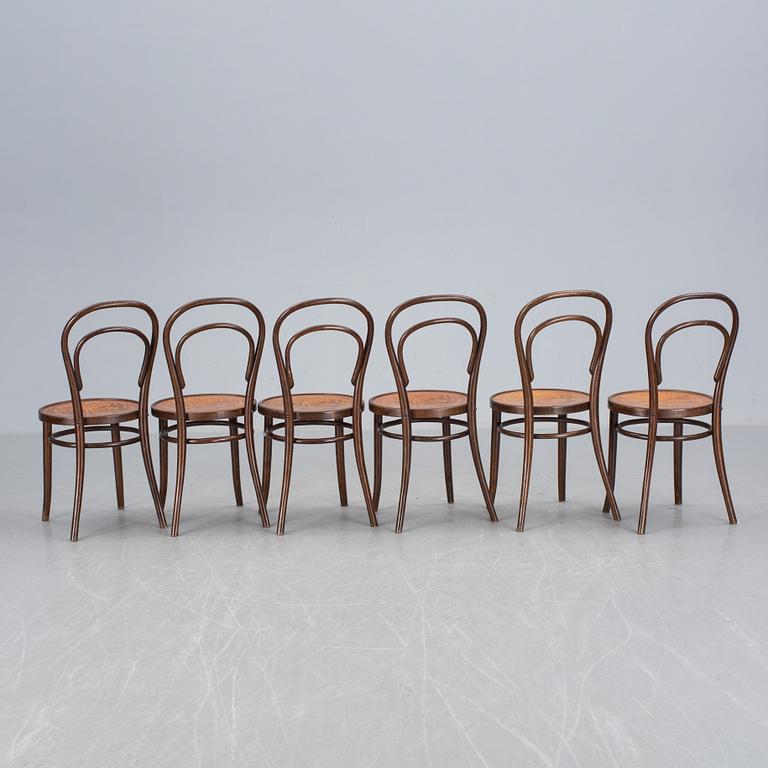 STOLAR, 6 st, Thonet-typ. 1900-tal.