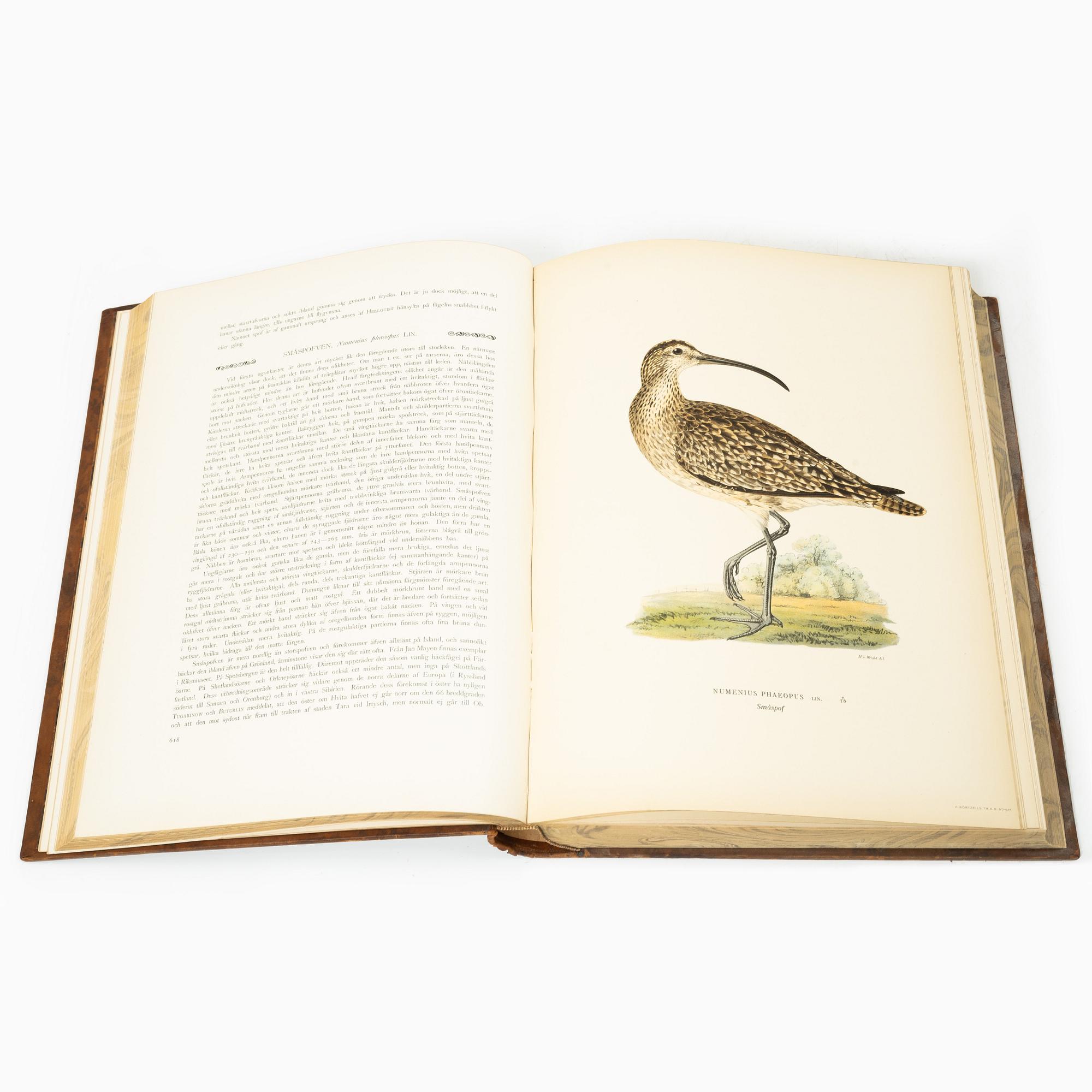 The von Wright brothers, book work, 3 volumes, "Swedish Birds", A. Börtzells tryckeri AB, Stockholm, 1927-1929.