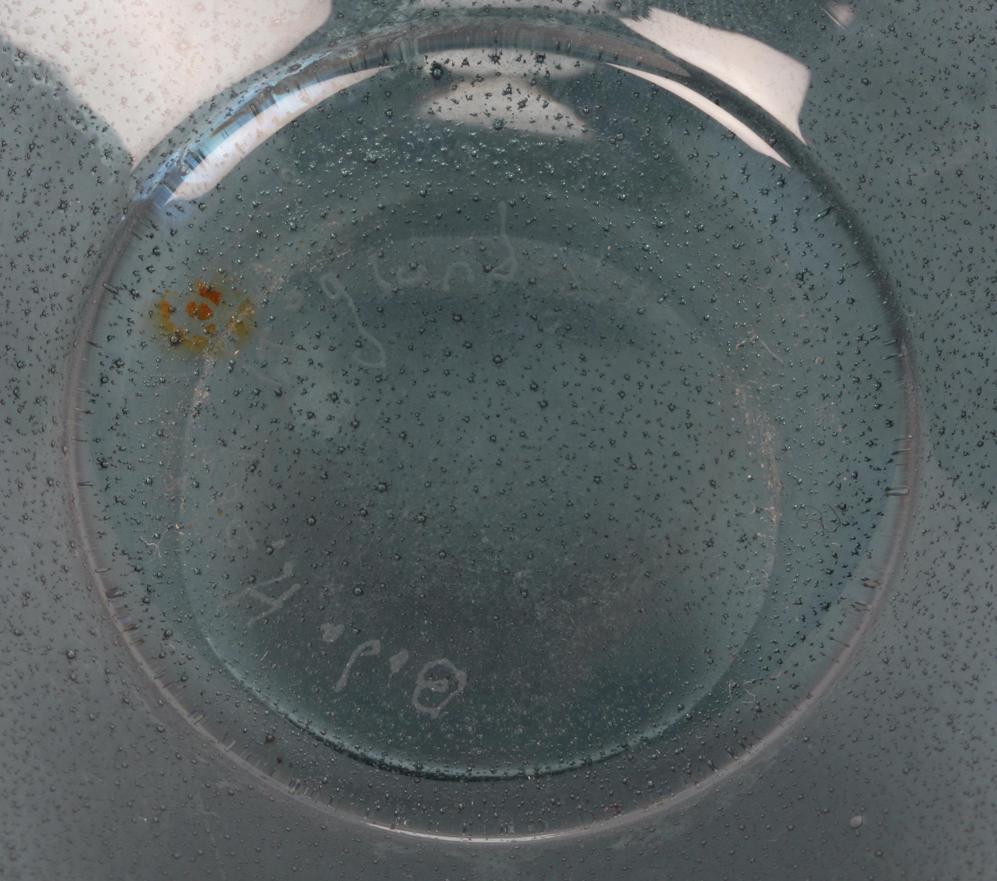 VAS, glas, Erik Höglund, Boda, sign.