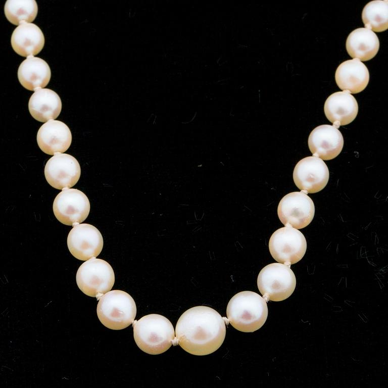 Collier with cultured akoya pearls, silver clasp.