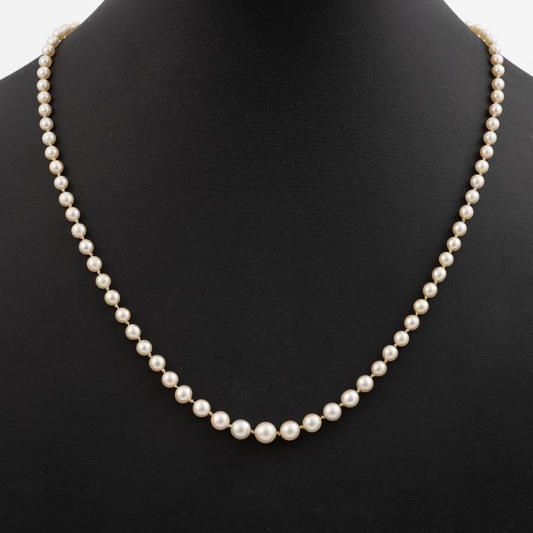 Necklace of cultured pearls, clasp in 14K gold set with old mine and rose-cut diamonds.