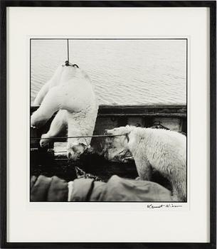 Lennart Nilsson,  "Isbjörnsjakt vid Hvitøya (Vitön), Svalbard, Norge 1947".