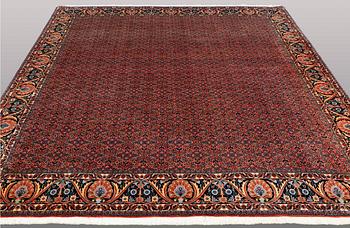A CARPET, Bidjar, ca 292 x 256 cm.