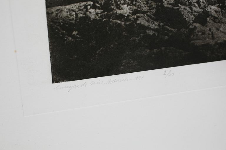 LENNART OLSON, a photogravure, signed, numbered 2/30 and dated -92.