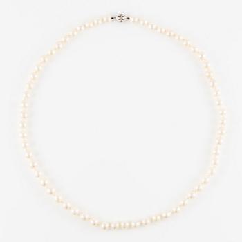 Pärlcollier, med odlade pärlor, lås 18K vitguld.