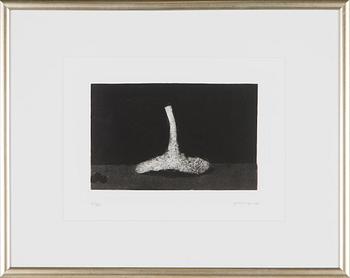 Pentti Kaskipuro, Mushroom.