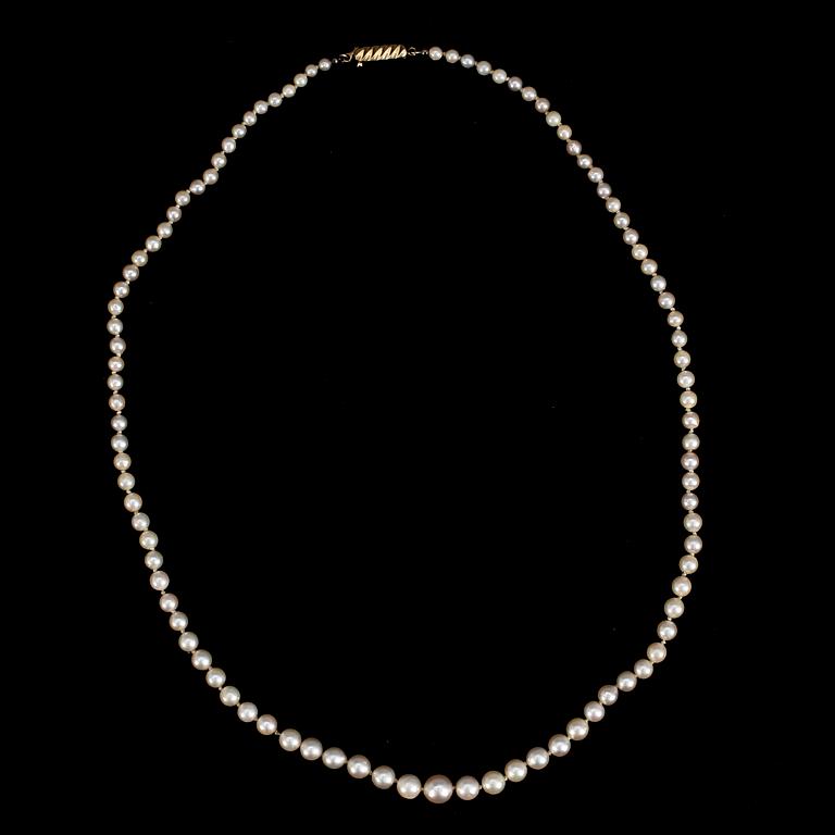 PÄRLCOLLIER, odlade pärlor, lås 18 k guld.