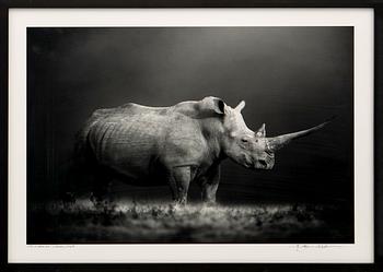 Björn Persson, "Natural Power", 2023.