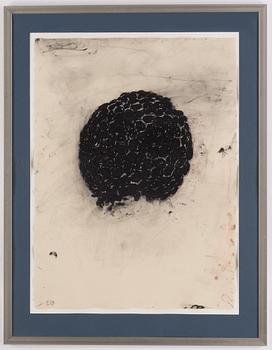 Terry Winters, lithographs in colours, 11, 1985-1986, signed. First lithograph numbered 26/39.