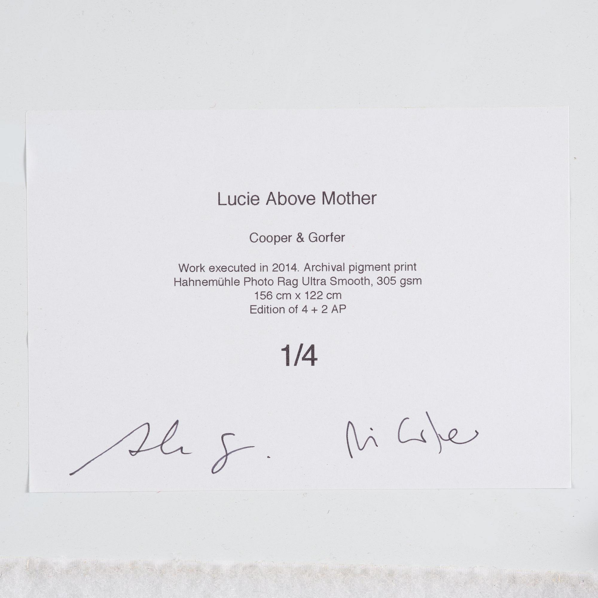 Cooper & Gorfer, "Lucie Above Mother", 2014.