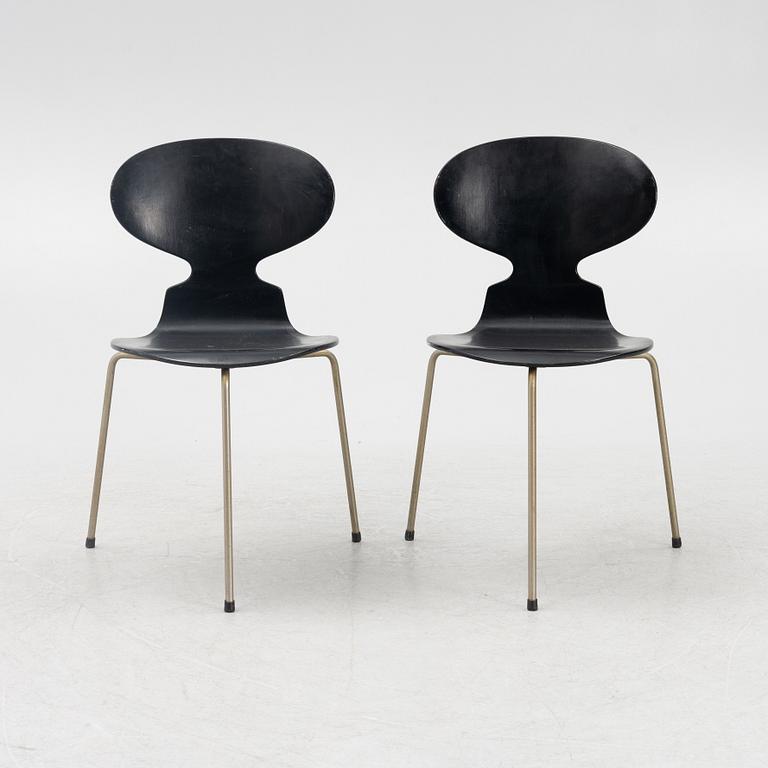 Arne Jacobsen, stolar, 6 st, "Myran", Fritz Hansen, Danmark, 1950/60-tal.