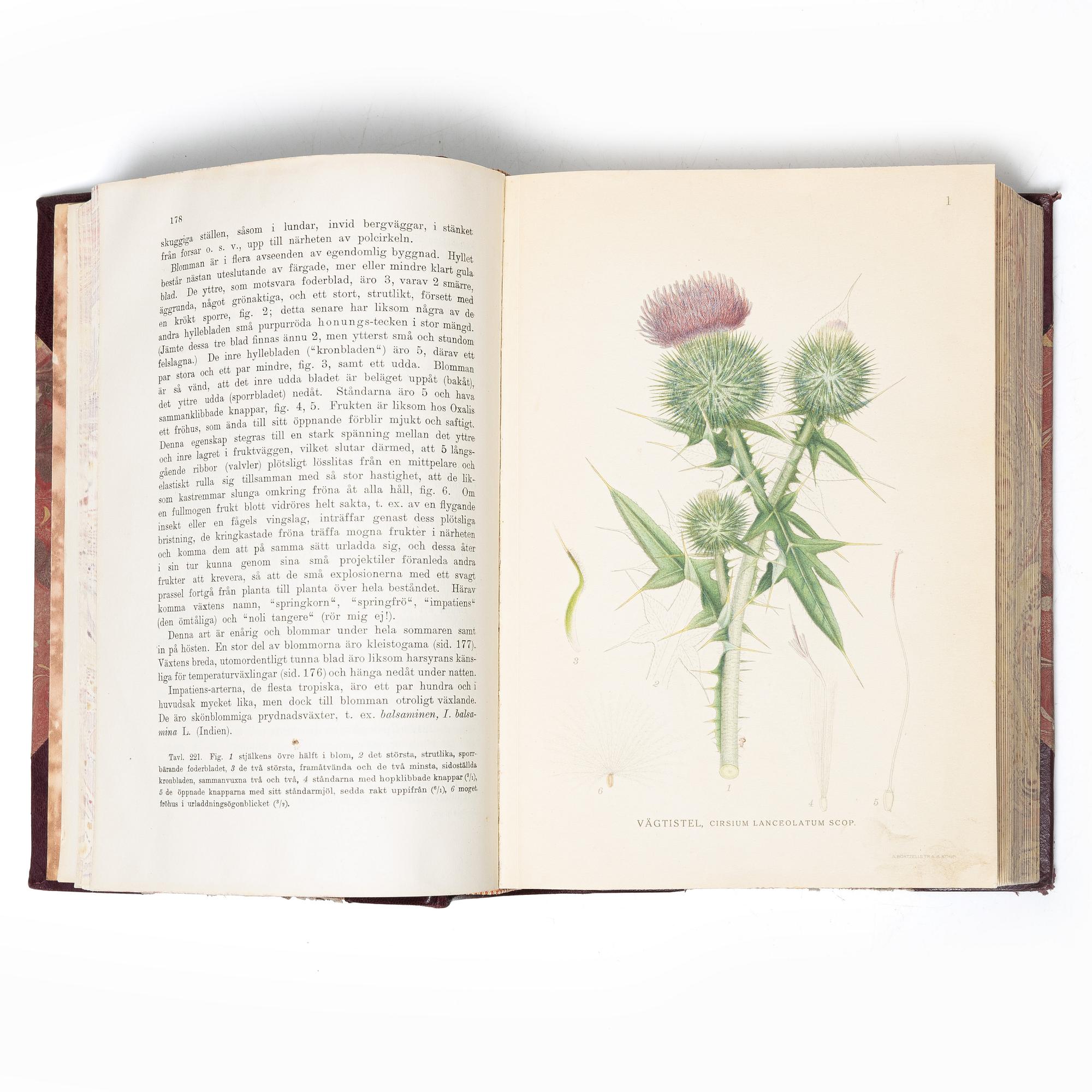 Books, 3 volumes. C.A.M. Lindman, *Bilder ur Nordens Flora*, 1922 and 1926 respectively.
