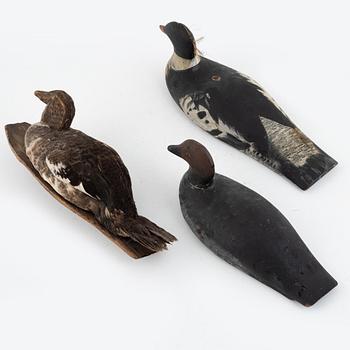 Vettar, bemålat trä/ taxidermir, 3 st,