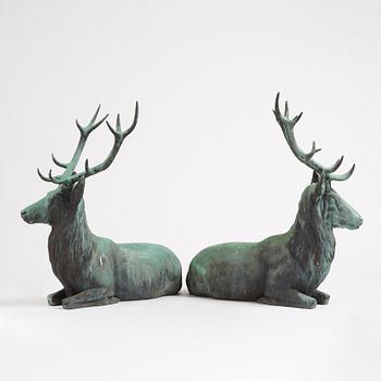 A pair of red deer.