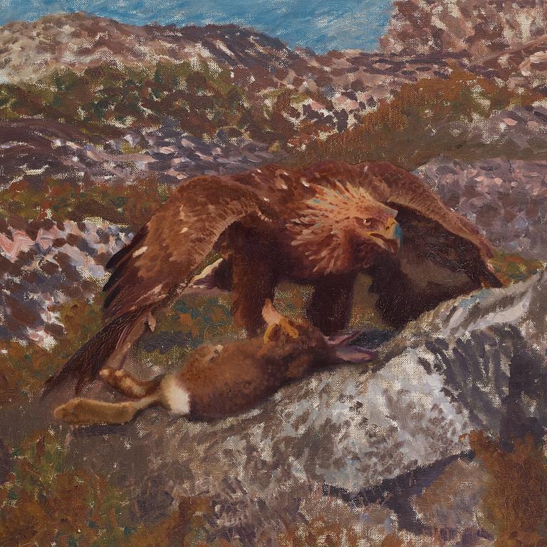 Bruno Liljefors, Golden eagles attacking a hare.