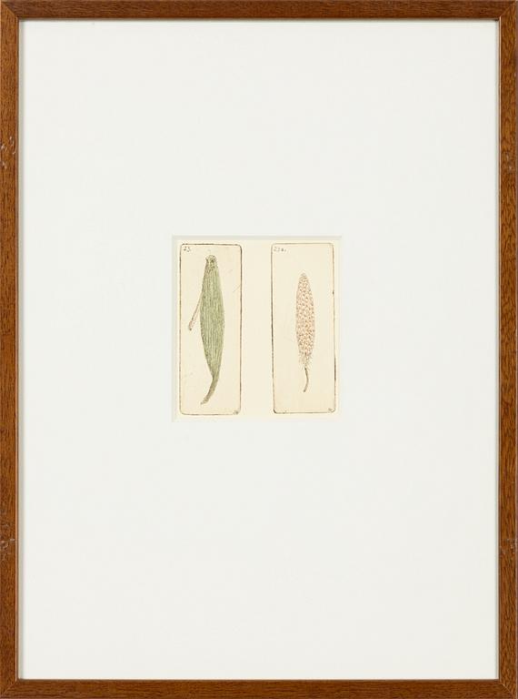 Sten Eklund, "Frukt vid buske odlad vid nr 4" From "Kullahusets hemlighet".