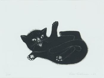 Frans Toikkanen, "Sähinää".