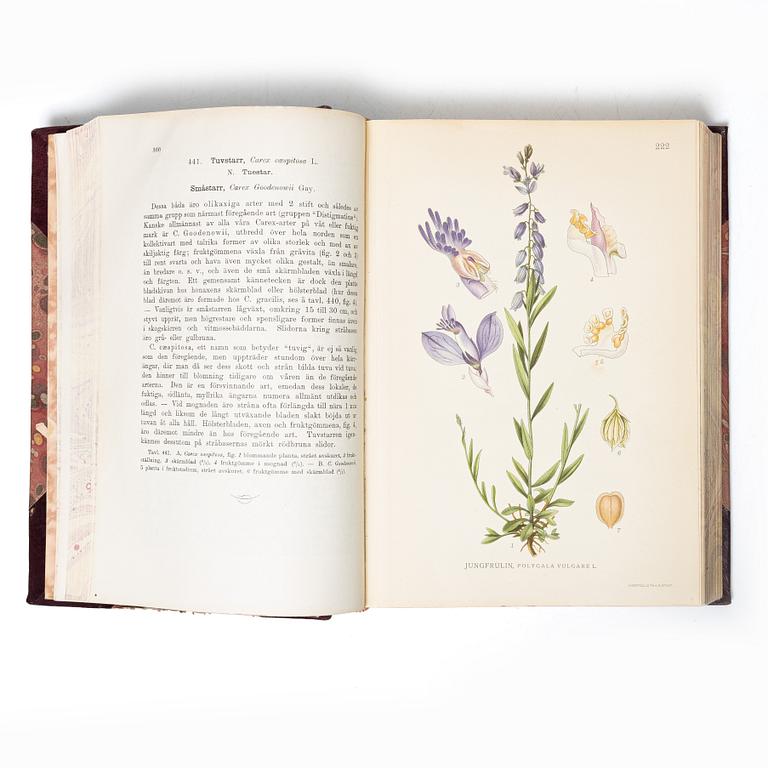 Books, 3 volumes. C.A.M. Lindman, *Bilder ur Nordens Flora*, 1922 and 1926 respectively.