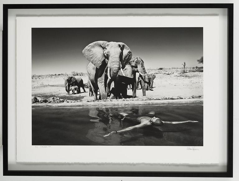 HÅKAN LUDWIGSON, photography signed Håkan Ludwigsson and dated Somalisa 2011 and numbered 9/12.