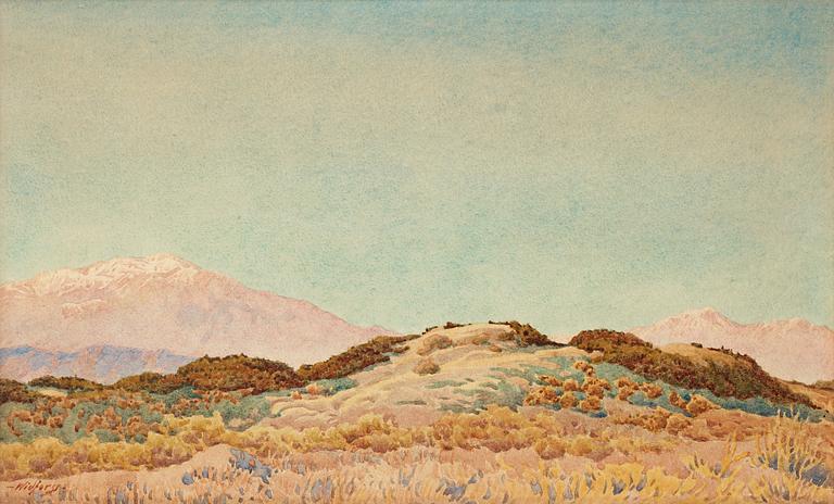 Gunnar Widforss, "At Palm Springs".