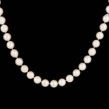 Cultured pearl necklace, clasp 18K white gold.