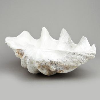 MUSSLA, fossil.
